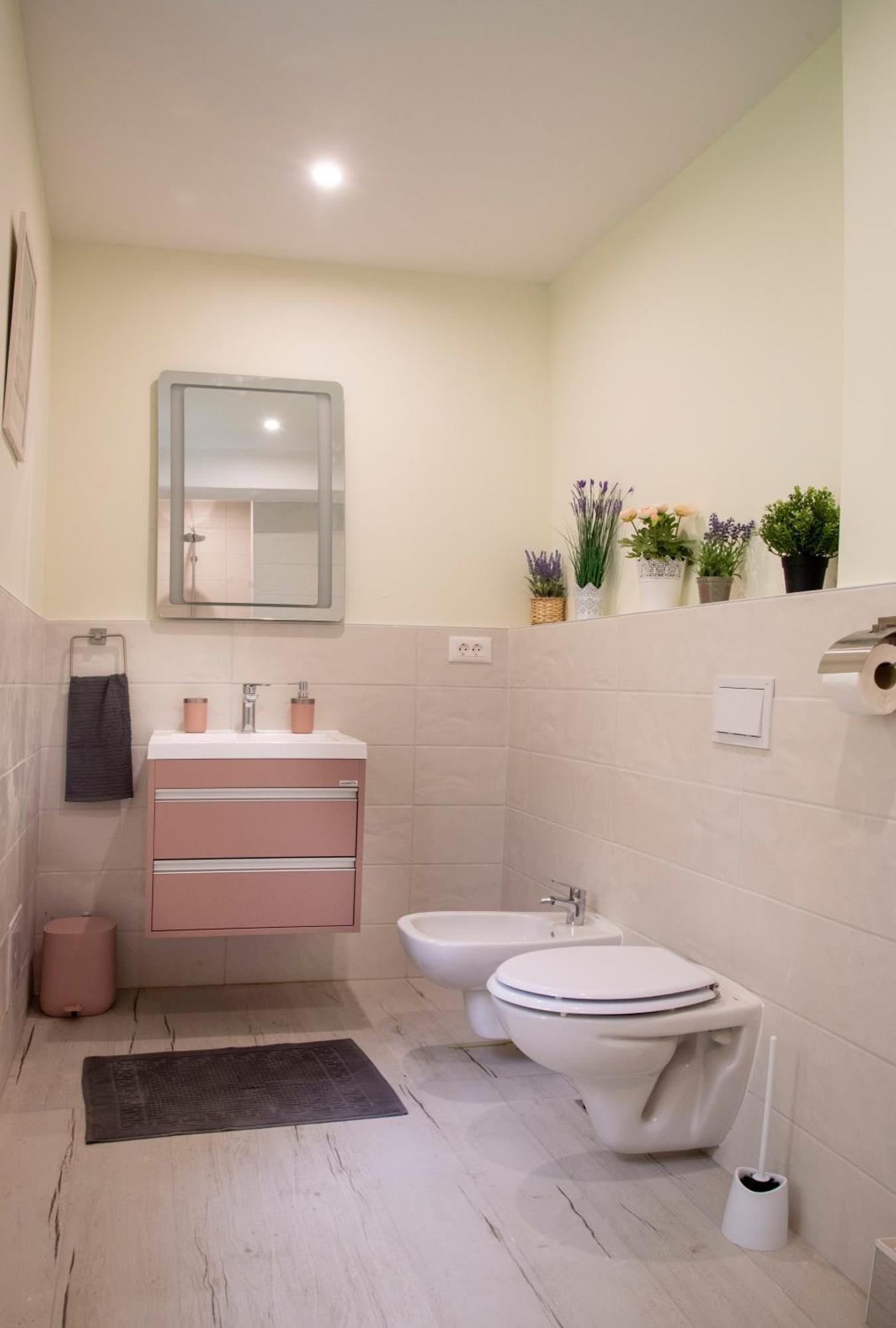 Apartment Apartman Vili